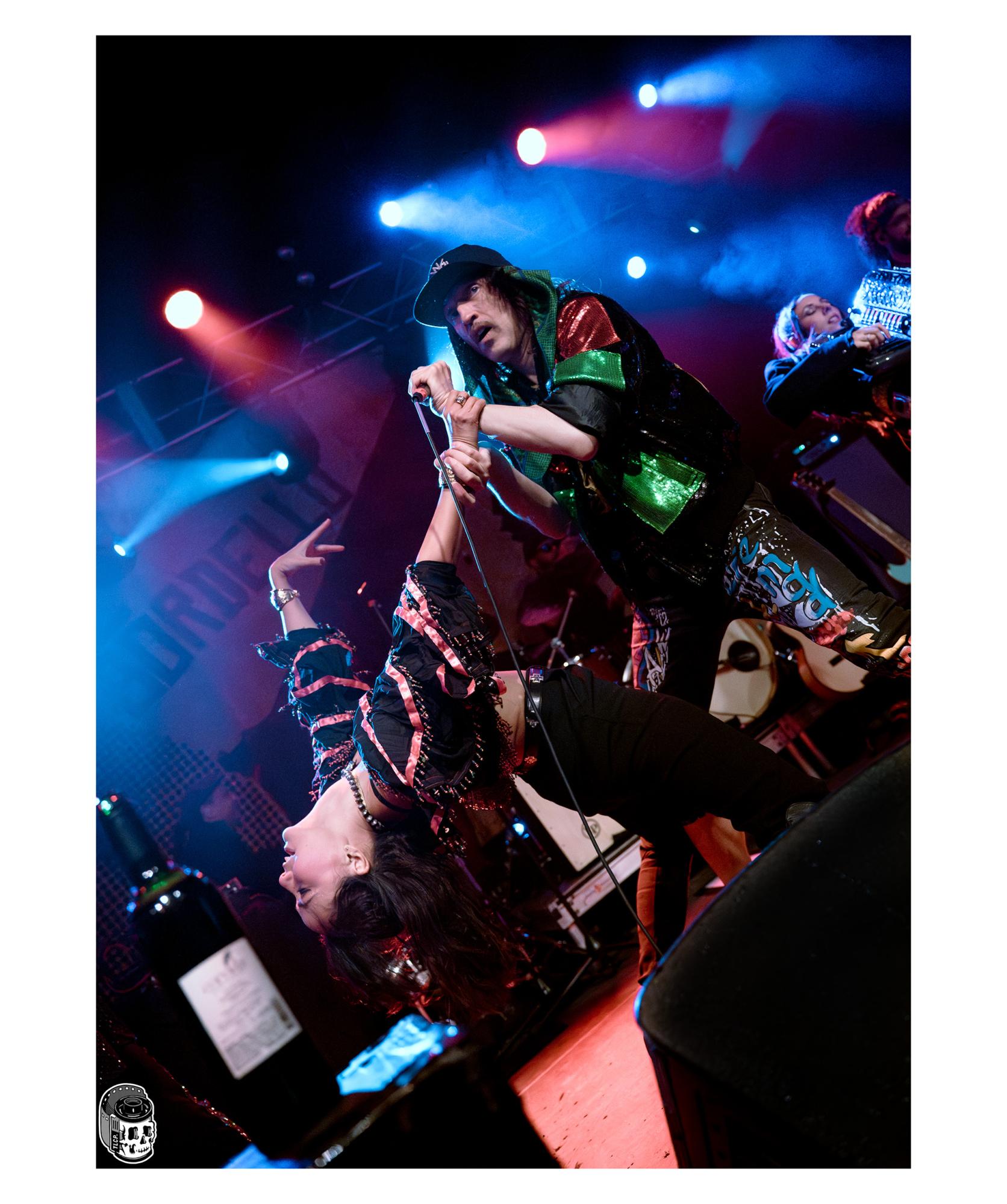 Gogol Bordello